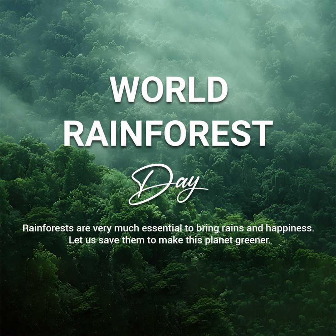 Rainforest Day